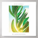 Recherche de plantes vertes posters Succulent