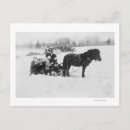 Recherche de traîneau photographie Populaire