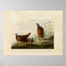 Recherche de 172 posters Gravé