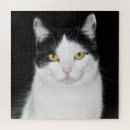 Recherche de chat noir blanc puzzles Animal de compagnie