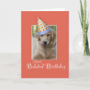 Recherche de tard anniversaire cartes Dog