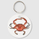 Recherche de crab porteclés Vie marine
