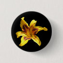 Recherche de lis jaune rouge Noir
