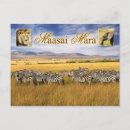 Recherche de masai mara cartes postales Lion