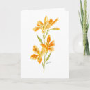 Recherche de alstroemeria vœux cartes Lys péruvien