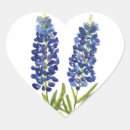 Recherche de capot autocollants Texan