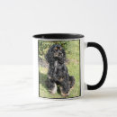 Recherche de race pure tasses Chien