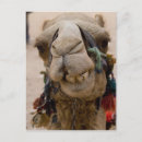 Recherche de jordanie cartes postales Unesco