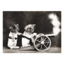 Recherche de chats vintages art Animaux domestiques