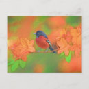 Recherche de oiseau chanteur cartes postales Fleur