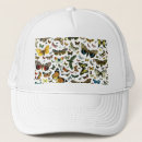 Recherche de chenil casquettes Dessin
