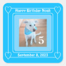 Recherche de photo bébé autocollants Chien