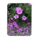 Recherche de cosmo magnets Floral