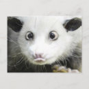 Recherche de heidi cartes postales Nature