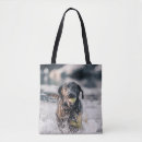 Recherche de extraction sacs Animal