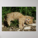Recherche de gingembre bleu posters Mignon