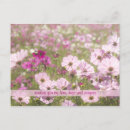 Recherche de fleur cosmo cartes postales Pour tous