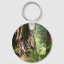 Recherche de séquoia porteclés Arbres