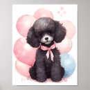 Recherche de chien de caniche posters Adorable