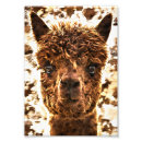 Recherche de caresse posters Animal