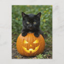 Recherche de cat lantern cartes postales Chat