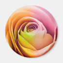 Recherche de affection magnets Anniversaire