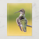 Recherche de alerte cartes postales Faune
