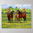 Recherche de poulain posters Animaux de ferme