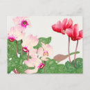 Recherche de pavots rouges cartes postales Vintage