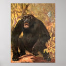 Recherche de gorilles de montagne posters Jungle