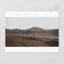 Recherche de caravanes cartes postales Vacances