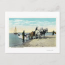 Recherche de tirant cartes postales Cheval