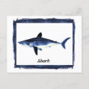 Recherche de requin blanc cartes postales Dessin