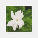 Recherche de jasmin serviettes Pour tous