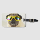 Recherche de carlin bagages étiquettes Chien