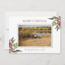 Recherche de religieuse noël cartes Verset biblique