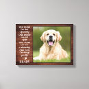 Recherche de animaux portraits Ajouter votre photo