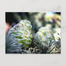 Recherche de arrière plan de noël posters Branche