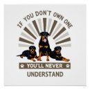 Recherche de chiot rottweiler posters Animal