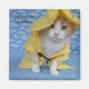 Recherche de chat jaune magnets Minou