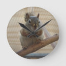 Recherche de rongeur horloges Mignon