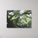 Recherche de chêne art Vert