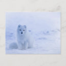 Recherche de arctique cartes postales Bleu
