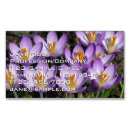Recherche de fleurs de crocus cartes visite Nature