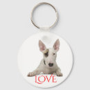 Recherche de bull terrier porteclés Chien