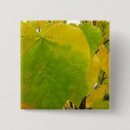 Recherche de feuille rouge badges Vert