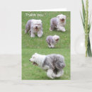 Recherche de running vœux cartes Animal