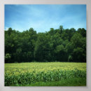Recherche de maïs posters Paysage