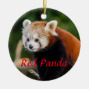 Recherche de firefox Mignon