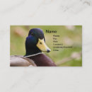 Recherche de chasse de canard cartes visite Canards